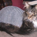 Chainmail_Cat_2_by_Rossic