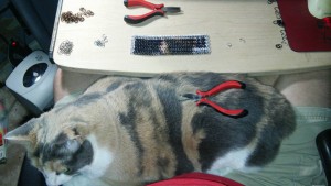 red pliers on a cat with a chainmaille project in the background
