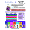 INSTRUCTIONS -Dragon's Eye  - right hand - PDF, INS-DRAGON-EYE-R