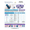 INSTRUCTIONS - Hepatica Bracelet - right hand - PDF, INS-HEPAT-R