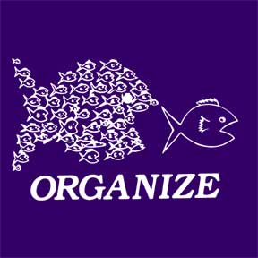 organize