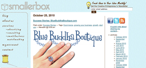 BlueBuddha logo and chainmail ring on the Smallerbox.net web site.
