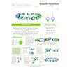INSTRUCTIONS - Bisected Byzantine - left hand - PDF, INS-BISECT-BYZ-L