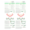 INSTRUCTIONS - Coiled Rubber Scallop - either hand - PDF, INS-COILED-RUBR-SCLLP, Easy Introductory Chainmaille Pattern