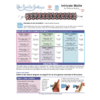 INSTRUCTIONS - Intricate Maille - left hand - PDF, INS-INTRCTM-L