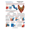 INSTRUCTIONS - Shaggy Scales - PDF, INS-SHAGGYSC-PDF